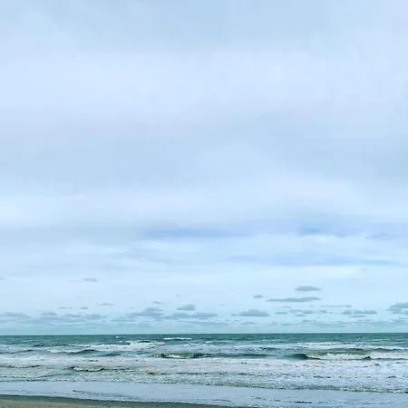 Spacious Seafront Family Stay, Cleaning Included 아파트 니우포르트